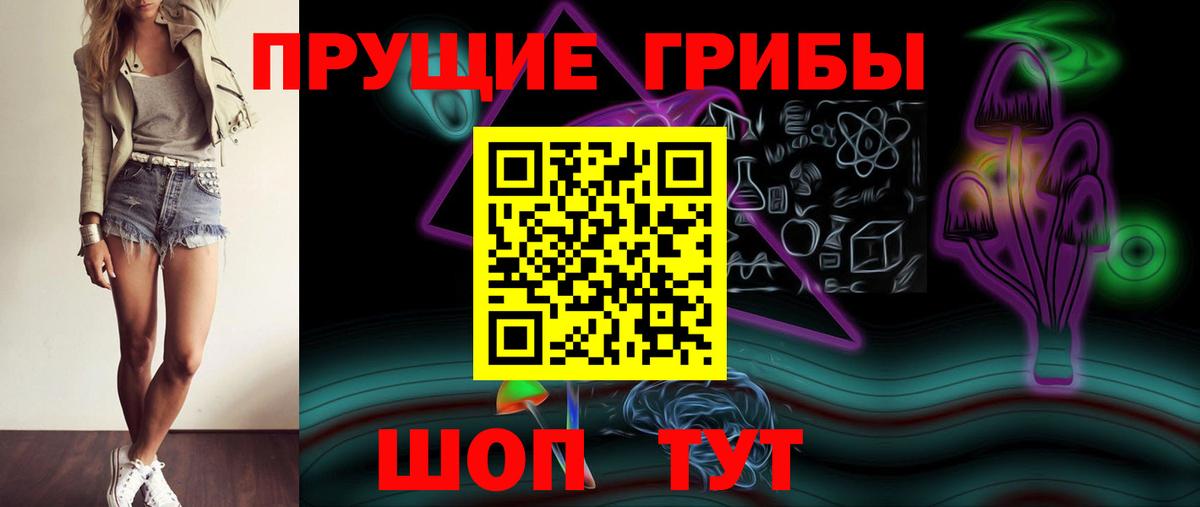 Похвистнево  Галлюциногенные грибы мицелий  Вход с VPN 